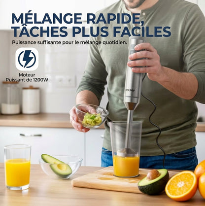 mixeur plongeant