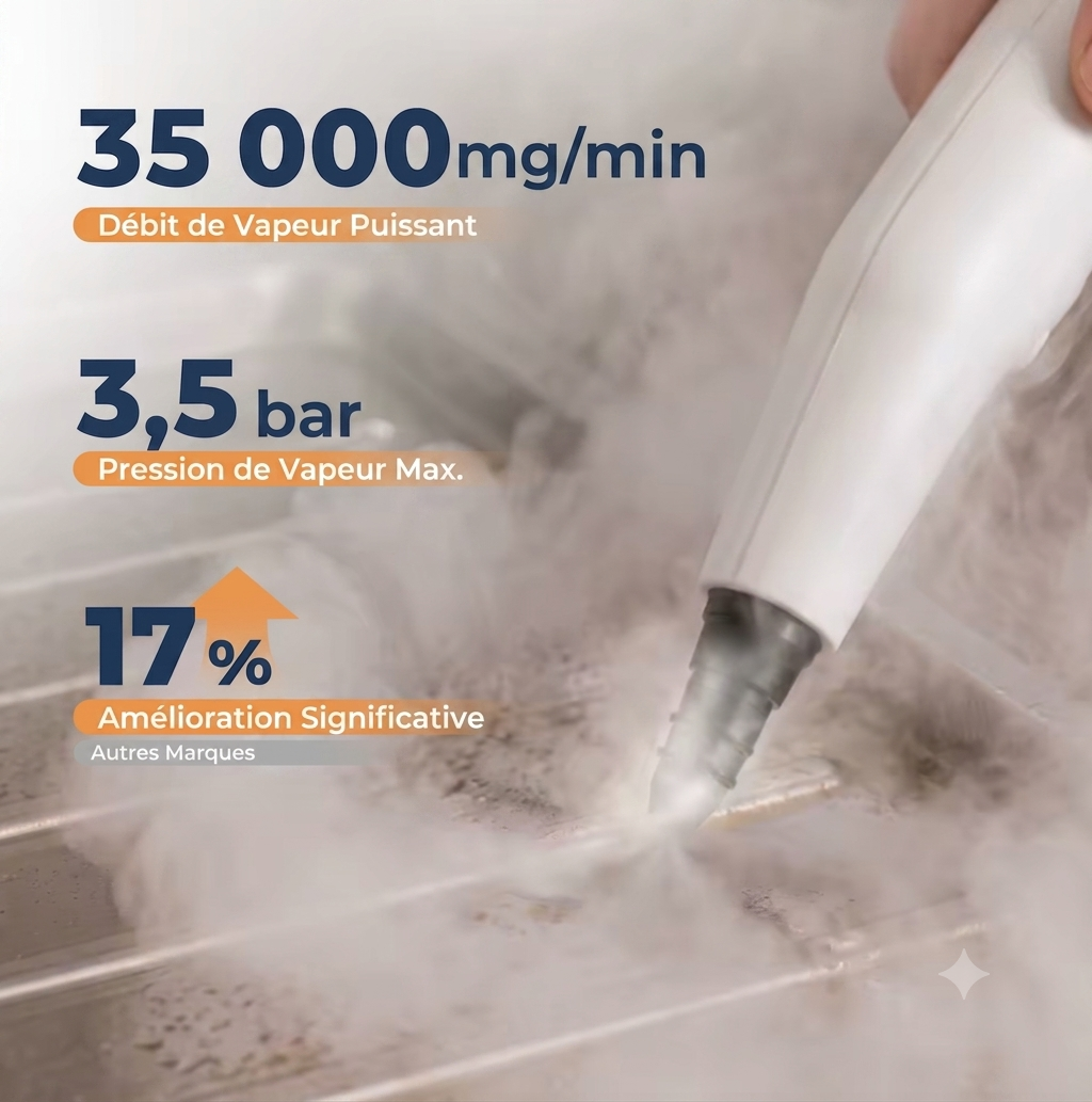 Nettoyeur vapeur haute pression portable